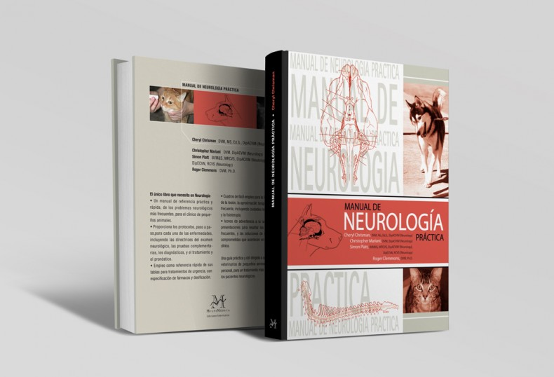 Manual de neurología práctica División Médica Editorial S L