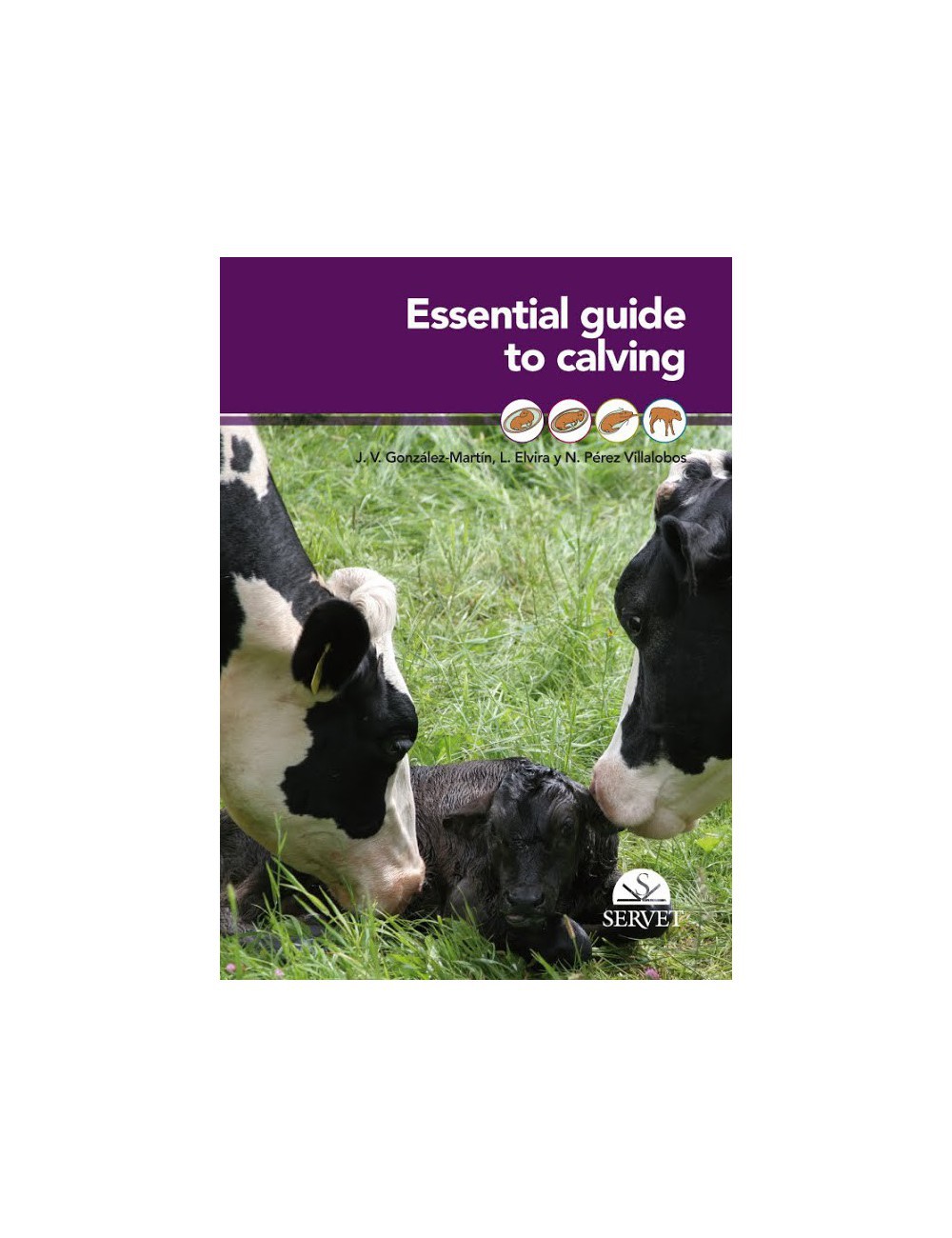 Essential Guide To Calving Divisi N M Dica Editorial S L