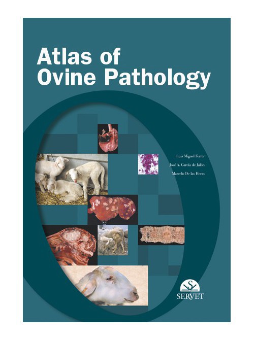 Atlas Of Ovine Pathology División Médica Editorial S L 9532